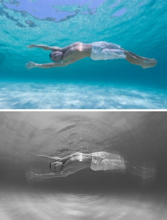 The gioi trong nhu the nao qua mat cac loai dong vat-Hinh-6