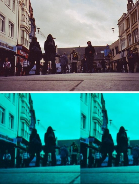 The gioi trong nhu the nao qua mat cac loai dong vat-Hinh-3