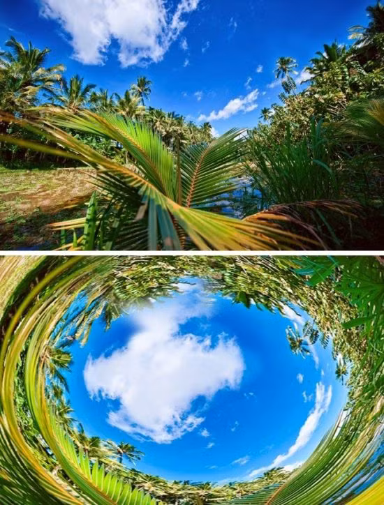 The gioi trong nhu the nao qua mat cac loai dong vat-Hinh-7