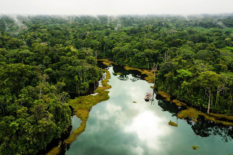Top 10 khu rừng lớn nhất thế giới ảnh 1 Top 10 khu rừng lớn nhất thế giới ảnh 1