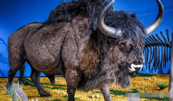 Con nguoi dang co gang hoi sinh 9 dong vat tuyet chung tu lau-Hinh-8