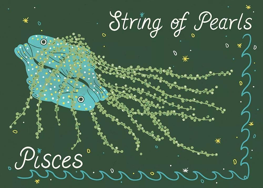 Sao Tho tac dong 12 chom sao: Bach Duong them dong luc-Hinh-12