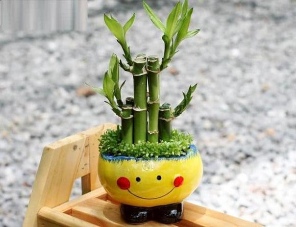 Nguoi thuoc 4 tuoi nay nen trong truc phat tai, tien vao nhu nuoc-Hinh-2