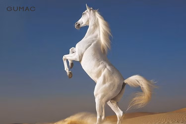 Nhờ vậy, họ thường là người được tin tưởng để giao những nhiệm vụ quan trọng. Đây không chỉ là thách thức, mà đồng thời còn là cơ hội tuyệt vời để họ thể hiện năng lực của bản thân, từ đó gặt hái sự tôn trọng từ mọi người.‏ ‏