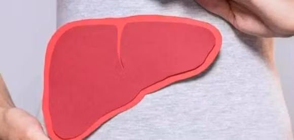 Hai hanh vi cua dan ong sau khi thuc day cuc hai gan-Hinh-6