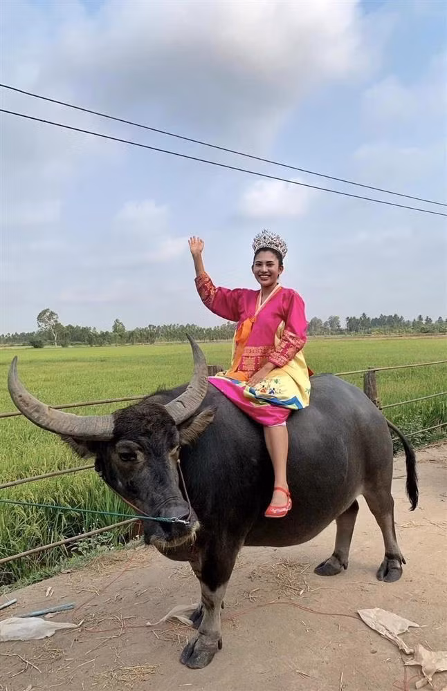 Thậm chí có người đẹp cưỡi trâu để lên đường dự thi Hoa hậu Hòa bình Thái Lan 2023.