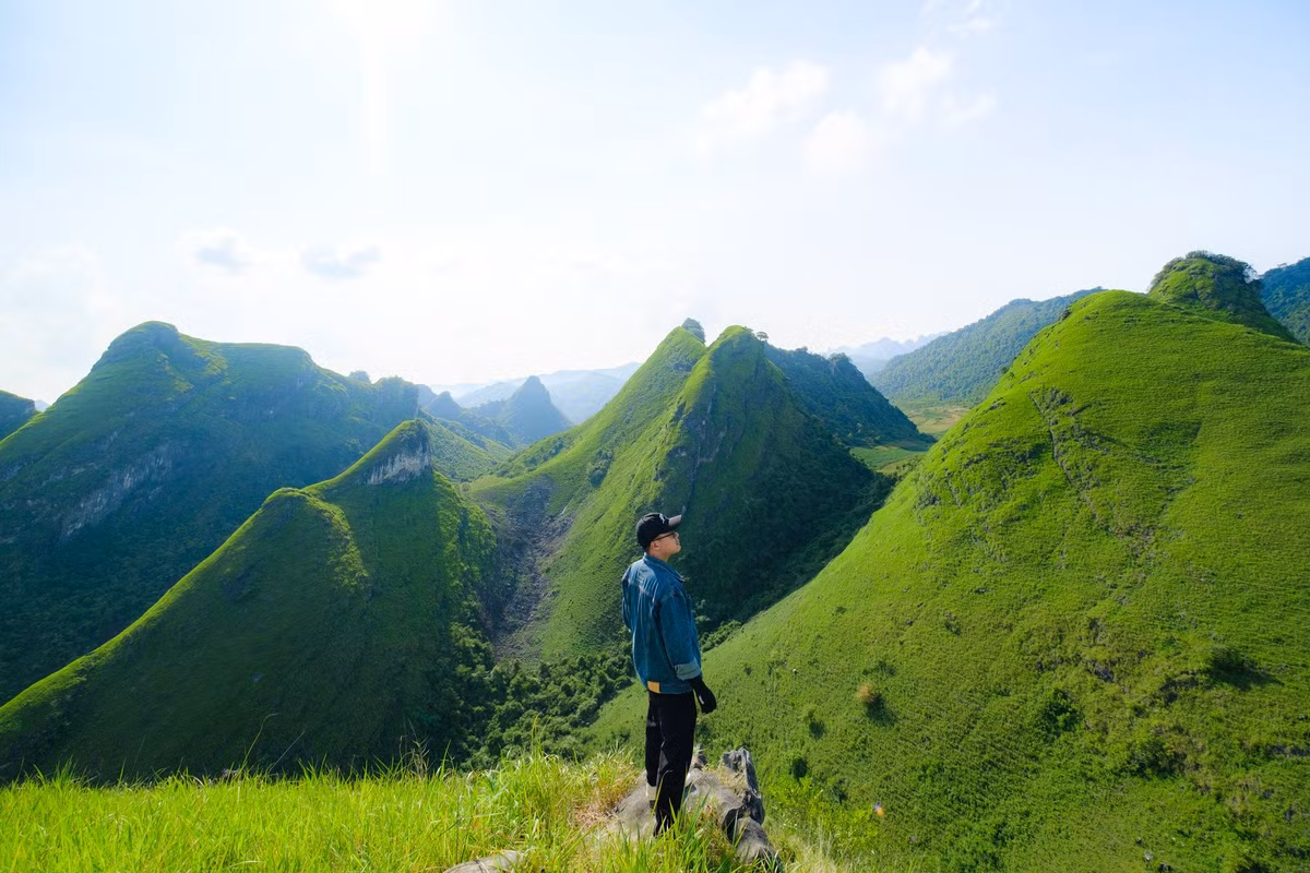 Để tới đồi cỏ Vinh Quý, du khách di chuyển từ thành phố Cao Bằng đến thị trấn Thanh Nhật, sau đó tiếp tục đi theo hướng Đông Bắc đến xã Vinh Quý. Đường đi trải bê tông nên khá thuận tiện, cách đồi cỏ khoảng 6-7km, du khách có thể di chuyển bằng xe máy hoặc ô tô. Đến ngã ba xóm Khum Đin, cách UBND xã Vinh Quý chừng 3km, du khách rẽ phải vào đường bê tông nhỏ và đi tiếp khoảng hơn 3km là đến khu vực đồi cỏ này. Nhiều tín đồ ưa xê dịch từng đến đồi cỏ Vinh Quý cho biết, vì địa hình nơi đây đặc trưng là đồi núi cao và quanh co nên nếu tự di chuyển bằng phương tiện cá nhân, du khách cần có tay lái cứng hoặc nên tìm người dân, HDV địa phương dẫn đường. (Ảnh: Đàm Anh) 