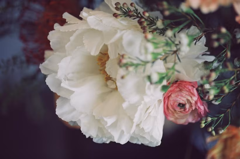 3 con giap thang 4 tran ngap niem vui, rung rinh tien bac-Hinh-3