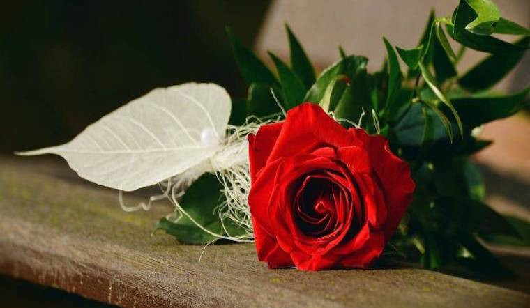 Người sinh 3 tháng Âm lịch này, làm lụng vất vả, hậu vận an nhàn Nguoi sinh 3 thang Am lich nay, lam lung vat va, hau van an nhan