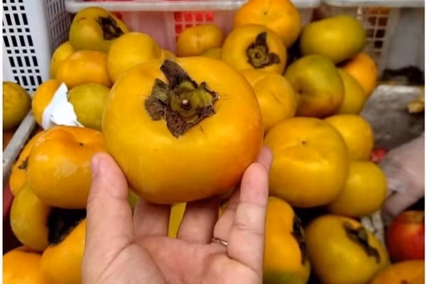 3 loai trai cay can tranh an trong ky kinh nguyet-Hinh-2