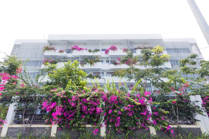 Những chùm hoa giấy rực rỡ mang tới một diện mạo trẻ trung, lãng mạn nên thơ cho ngôi trường đậm chất công nghệ này.