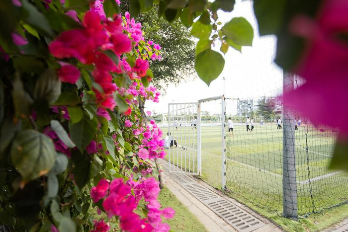 Mỗi ngày dạo bước quanh trường ngắm vẻ đẹp mong manh của hoa giấy cùng “người thương” cũng là một trải nghiệm thú vị của sinh viên tại “ngôi trường hạnh phúc”.