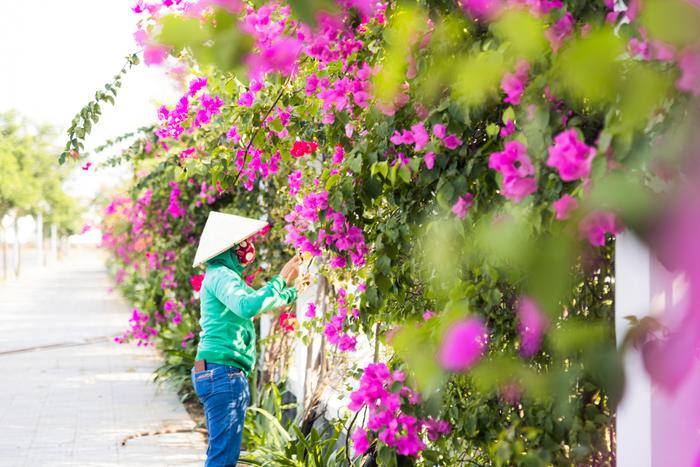 Được biết, những toà nhà phủ bóng cây của Trường ĐH FPT xuất phát từ ý tưởng trồng cây theo phong cách rừng, áp dụng công thức 200 cây bóng mát mỗi hecta nhằm mang lại nguồn sinh khí cho học sinh – sinh viên, cán bộ – giảng viên. Ngôi trường xịn sò với khuôn viên như thơ này xứng đáng 10 điểm không có nhưng. 2k5 còn chờ gì không chốt nhập học để thành sinh viên của Trường ĐH FPT phân hiệu Đà Nẵng “đi một bước ngàn góc sống ảo" đây?