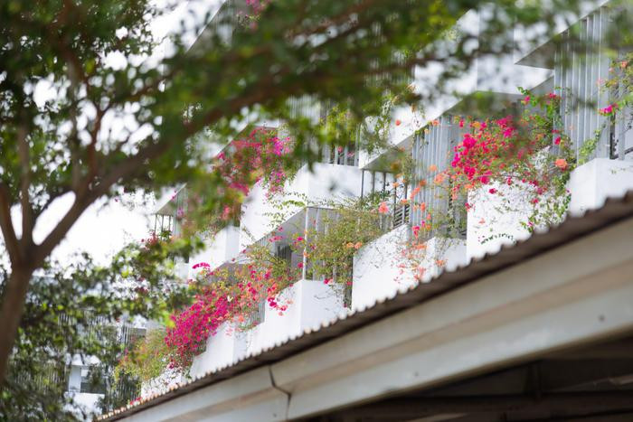 Nếu bạn cần một clip “sống chậm” hay một chiếc story lồng nhạc “chill chill” thì đừng quên góc “sống ảo” lung linh tại campus Trường ĐH FPT phân hiệu Đà Nẵng.