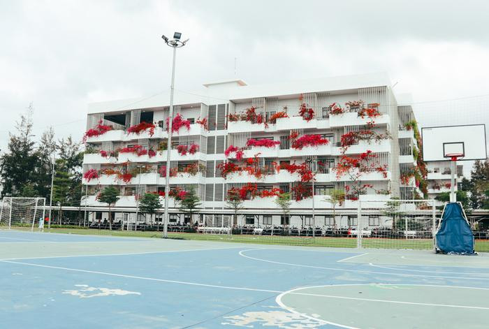 Nếu những năm trước, campus Trường ĐH FPT được nhớ tới với những ban công xanh biếc thì sang mùa hè này, nhiều bạn trẻ ngạc nhiên khi thấy sắc đỏ, cam, hồng của hoa giấy nở rộ khắp khuôn viên trường.