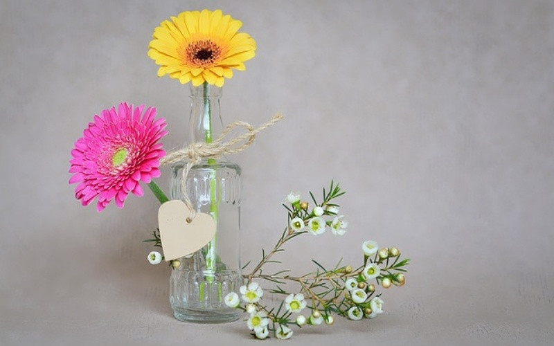 Mot so loai hoa trung Tet se mang den tai loc va hanh phuc-Hinh-6