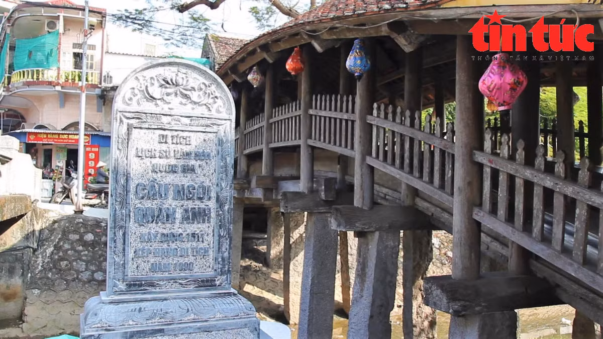 Chiem nguong nhung cay cau co bac nhat Viet Nam o Nam Dinh-Hinh-2