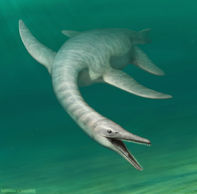 Nhung quai vat the gioi chua tung biet lo dien trong nam 2022