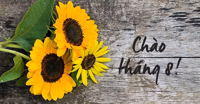 Nếu họ bắt đầu kinh doanh riêng, họ sẽ phát triển nhanh chóng ngay từ khi còn nhỏ. Họ sẽ rất cẩn thận và kiên nhẫn trong mọi việc họ làm. Họ nghiên cứu sâu và sớm hay muộn sẽ hiểu rõ cách kiếm tiền. 