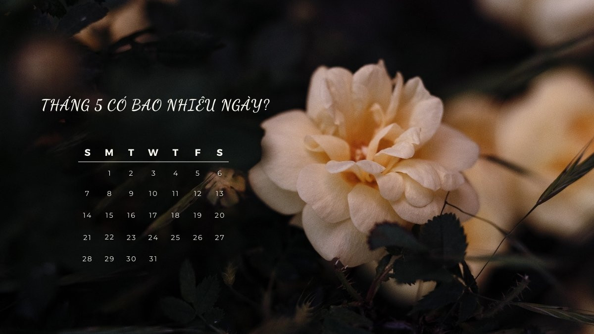 Họ biết khi nào nên tàn nhẫn, khi nào nên tàn nhẫn và khi nào nên rộng lượng trong những tình huống nhất định, để có thể chiếm được lòng người, kiếm được nhiều tiền, cuối cùng lọt vào danh sách giàu có và trở thành con người. Trị giá hàng chục triệu. .