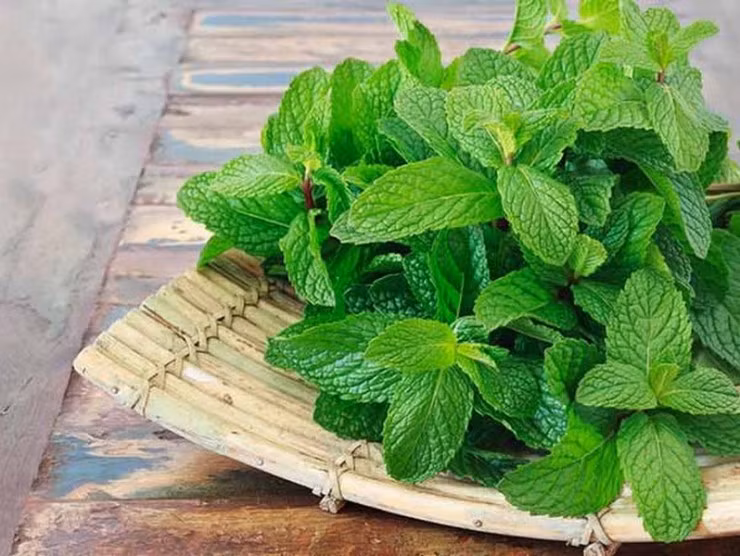 Loai rau nho nhung co vo lam thuoc chua benh tot cho suc khoe-Hinh-4