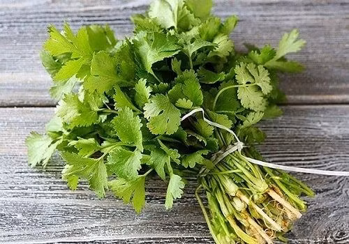 Loai rau nho nhung co vo lam thuoc chua benh tot cho suc khoe