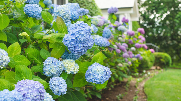 Người sinh vào ngày Âm lịch này không chịu khuất phúc trước mỗi khó khăn. Họ thông minh nên học nhanh, nhớ lâu. Họ sống hòa đồng, được nhiều bạn bè yêu mến. Đến trung tuổi, cung tài lộc của họ có sao tốt chiếu rọi, làm việc gì cũng thuận buồm xuôi gió.