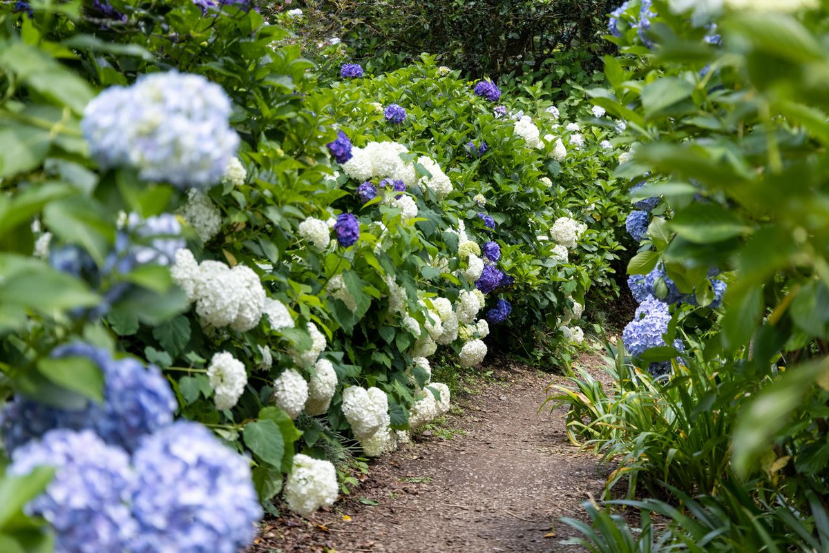 Người sinh vào ngày Âm lịch này cẩn trọng, tự lập, không muốn nhờ cậy người khác giúp đỡ mình. Họ được phúc khí trời ban nên đến trung tuổi làm đâu gặt đấy.