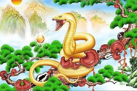 Ngoài ra, sẽ có rất nhiều sự giàu có tích cực. Mùa thu hoạch sẽ mang lại cho con giáp này vận may và ví của bạn sẽ phồng lên. 