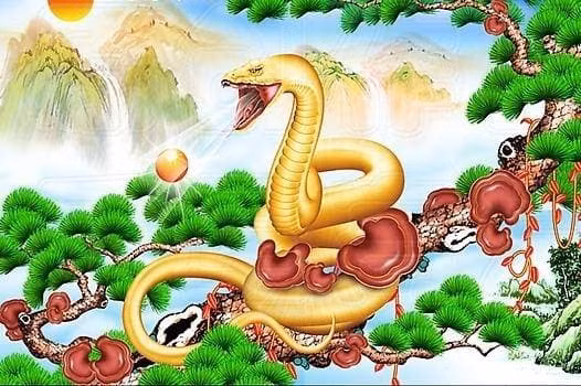 Ngoài ra, sẽ có rất nhiều sự giàu có tích cực. Mùa thu hoạch sẽ mang lại cho con giáp này vận may và ví của bạn sẽ phồng lên. 