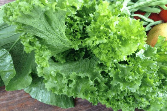 3 loai rau co nhieu “ky sinh trung” nhat, nhieu nguoi thich an song-Hinh-4