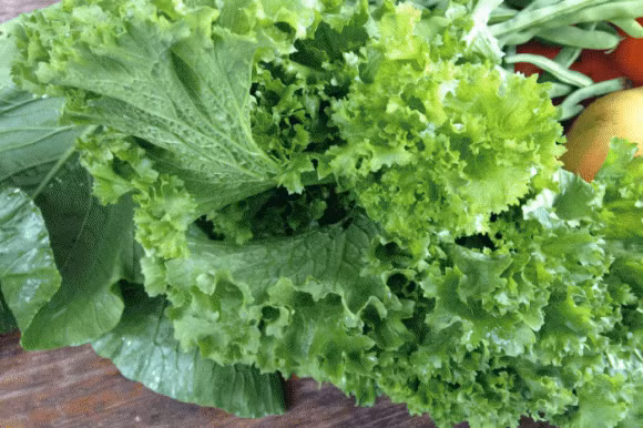 3 loai rau co nhieu “ky sinh trung” nhat, nhieu nguoi thich an song-Hinh-4