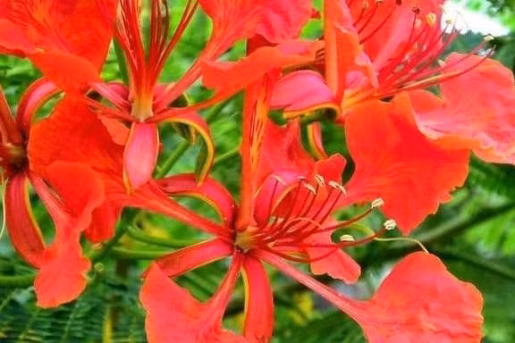 3 chom sao co nhieu co hoi kiem tien, su nghiep thang tien-Hinh-3