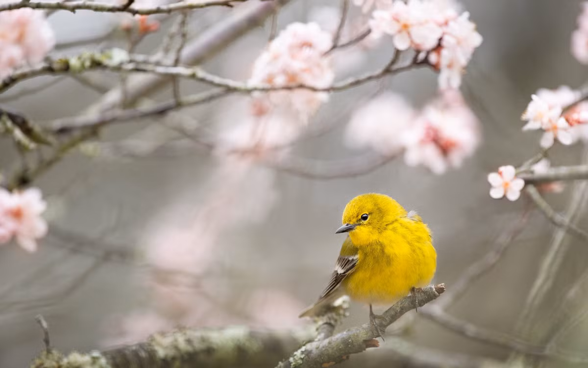 3 con giap co quy nhan phu tro, don nam moi du day-Hinh-2