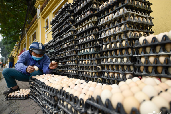 Chu trang trai 2,5 van ga tiet lo thoi diem gia trung re nhat