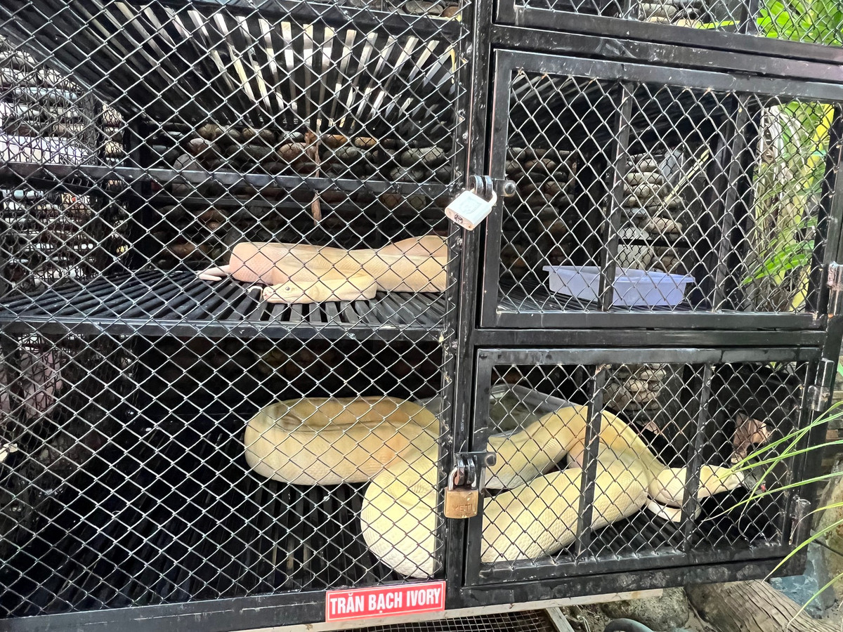 Quan ca phe doc, la o Can Tho-Hinh-4