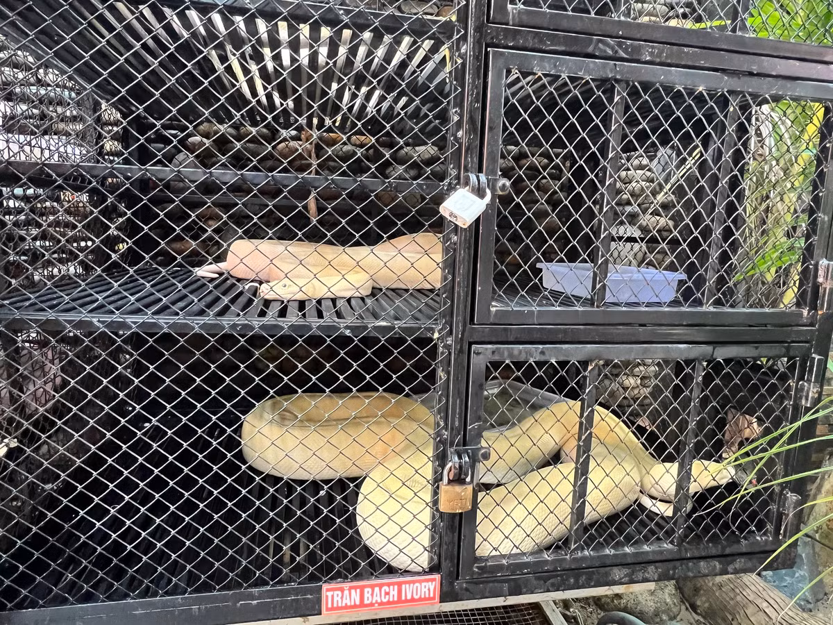 Quan ca phe doc, la o Can Tho-Hinh-4