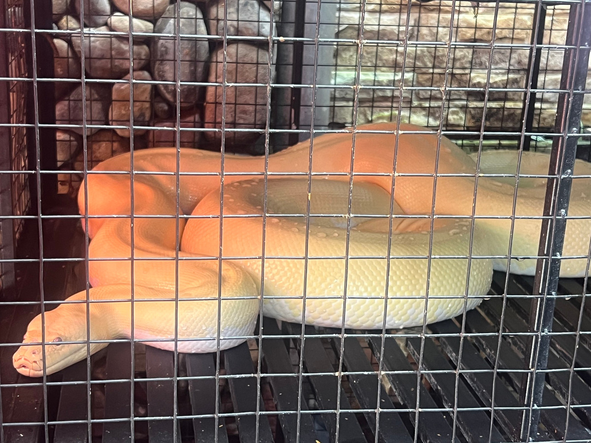 Quan ca phe doc, la o Can Tho-Hinh-5