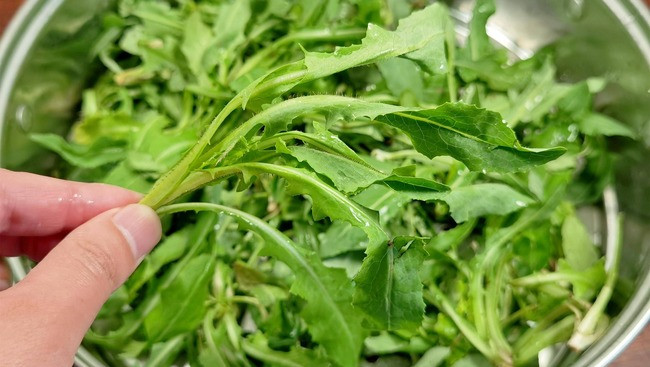 Loại rau dại toàn bị nhổ bỏ hóa ra là "vua bổ gan" - Hình 3 Loai rau dai toan bi nho bo hoa ra la