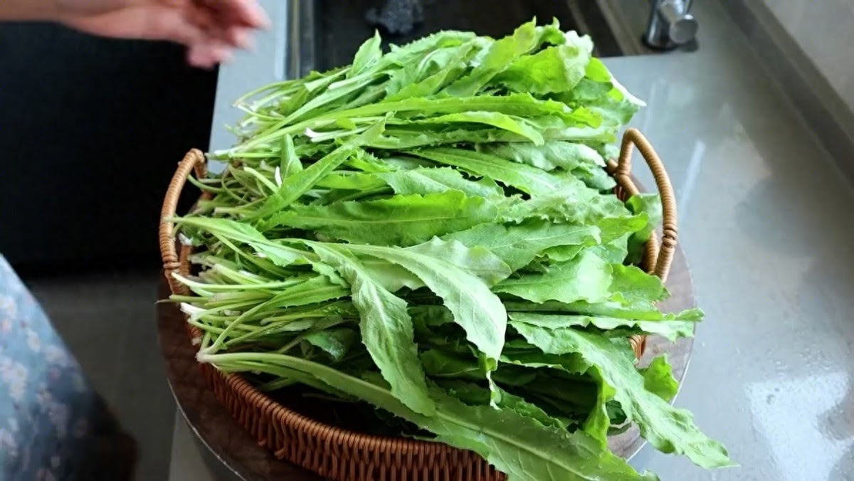 Loại rau dại toàn bị nhổ bỏ hóa ra là "vua bổ gan" - Hình 4 Loai rau dai toan bi nho bo hoa ra la