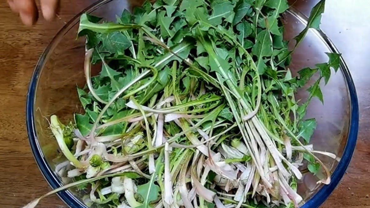 Loại rau dại toàn bị nhổ bỏ hóa ra là "vua bổ gan" - Hình 10 Loai rau dai toan bi nho bo hoa ra la