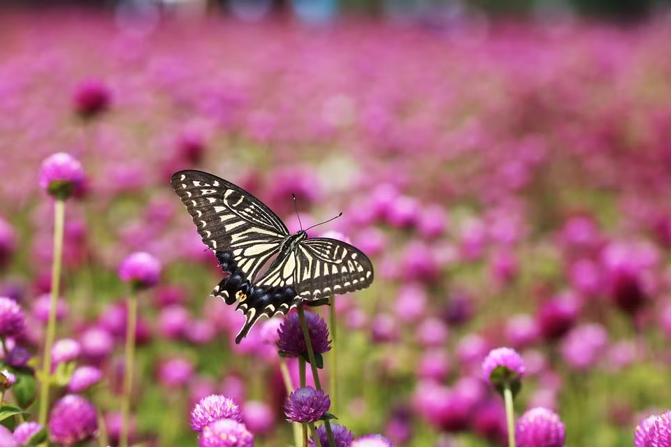 Nguoi sinh thang Am lich nay gioi lanh dao, som tro nen giau co-Hinh-4