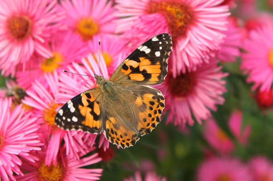 Nguoi sinh thang Am lich nay gioi lanh dao, som tro nen giau co-Hinh-2