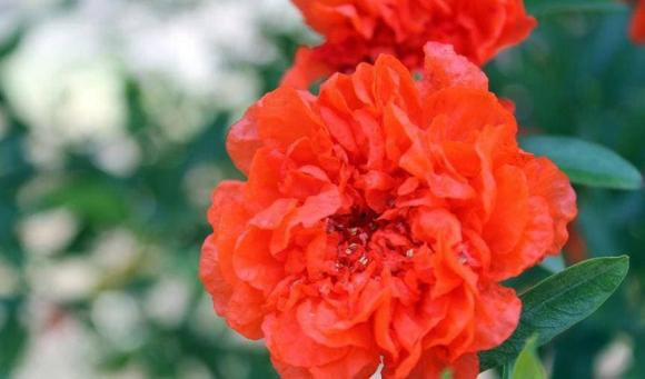 Trong gia dinh co nguoi sinh vao thang nay, phuc loc day nha-Hinh-2