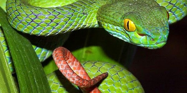 Ban đầu, cả hai sát cánh chiến đấu, thường là có nhiều thành tích rực rỡ hơn. Sự nghiệp nhất định sẽ thăng hoa, tiền bạc rủng rỉnh theo từng năm. Tuổi già không những có thể giàu có mà còn kéo dài tuổi thọ. 