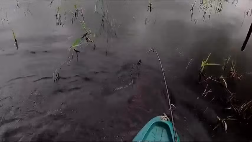 Video: Nam thanh nien cau duoc 