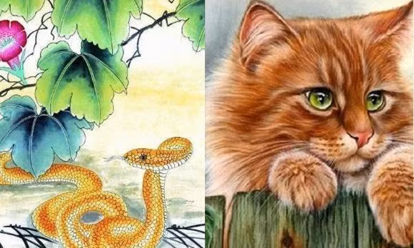 Nhung cap con giap rat hop de lay nhau, yeu nhau ngot ngao-Hinh-3