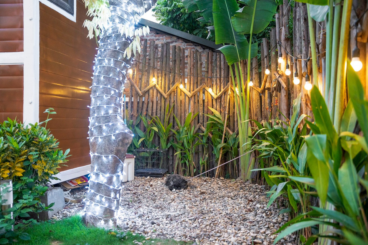 Góc vườn đậm chất làng quê với cây diềng, chuối và hàng rào tre nứa.