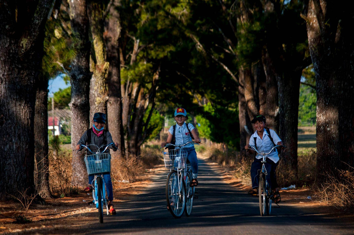 Check in hang thong tram tuoi dep nhu trong phim Han Quoc-Hinh-4