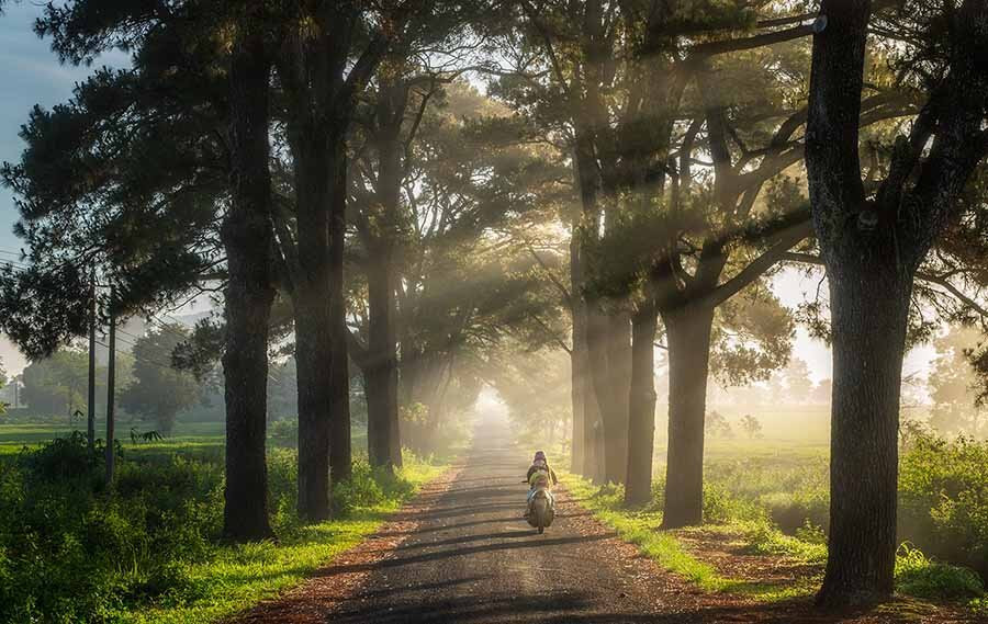 Check in hang thong tram tuoi dep nhu trong phim Han Quoc